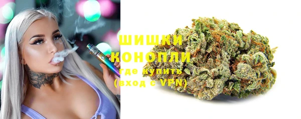 гидропоника Богданович