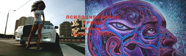 эйфоретик Богородск