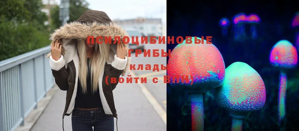 гидра Богородицк