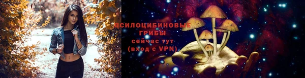 гидра Богородицк