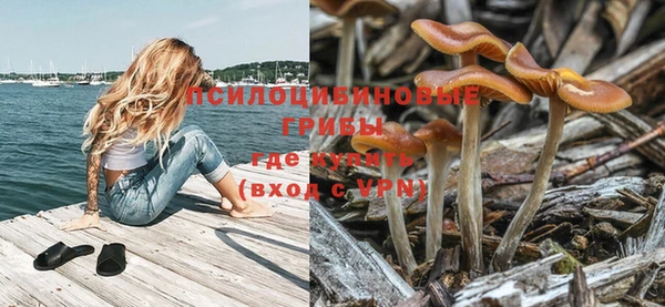 гидропоника Богданович