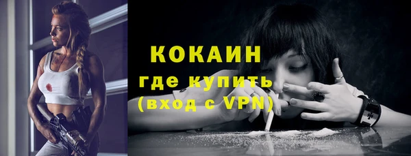 гидра Богородицк
