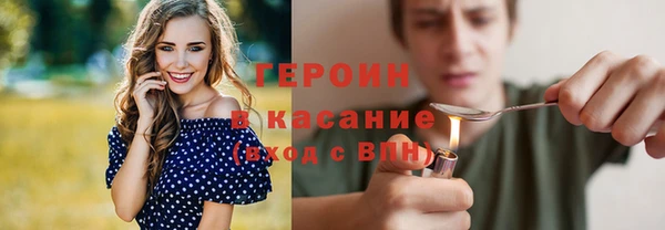 гидра Богородицк