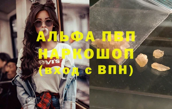 гидра Богородицк