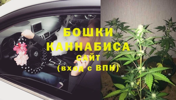 гидропоника Богданович