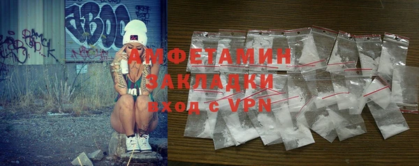 гидра Богородицк