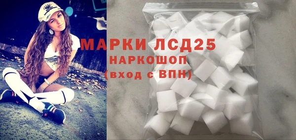 гидра Богородицк
