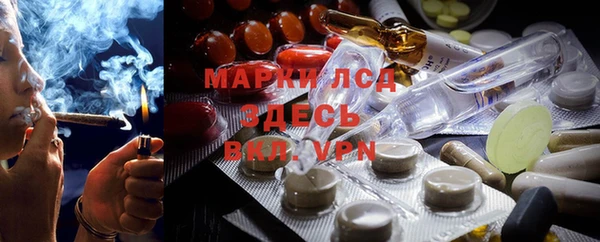 гидра Богородицк