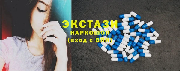 гидра Богородицк