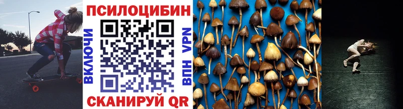 купить наркотик  Бородино  Галлюциногенные грибы MAGIC MUSHROOMS 