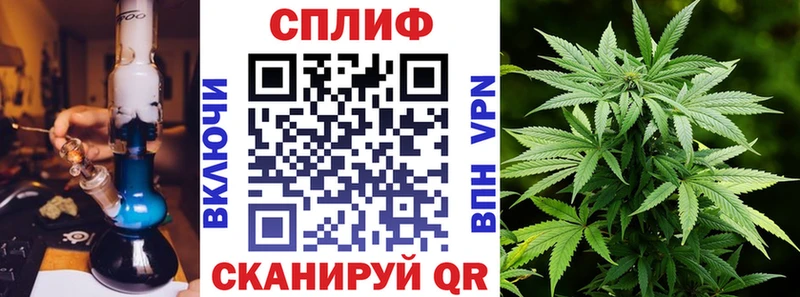 Бошки Шишки ГИДРОПОН  Бородино 